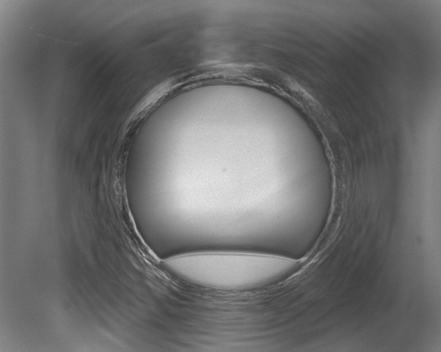 X0000081321354200701111018
