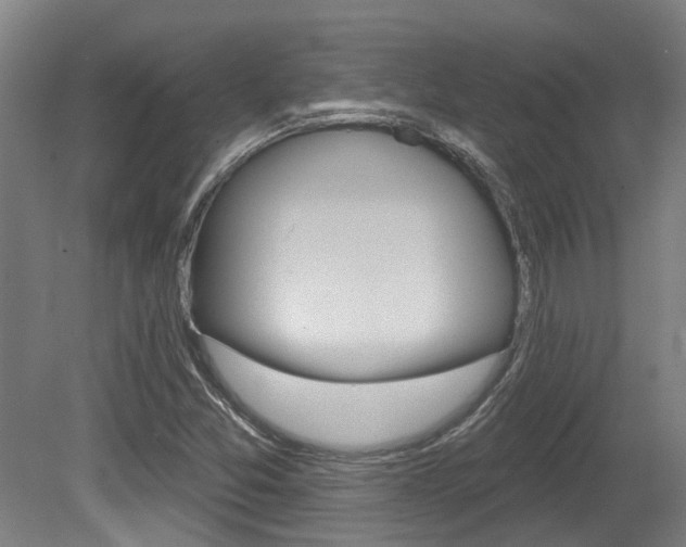 X0000081321357200701111017