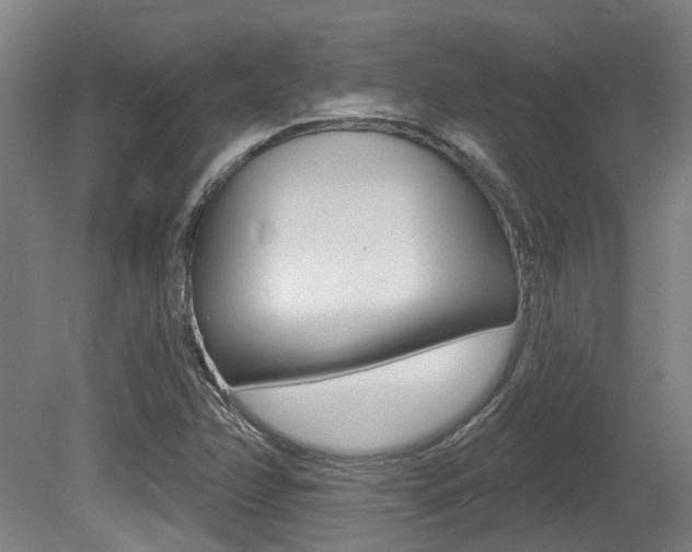 X0000081321358200701111017