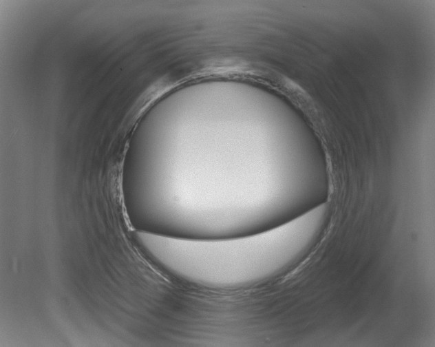 X0000081321361200701111017