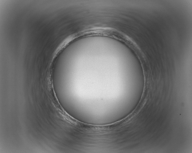 X0000081321362200701111017