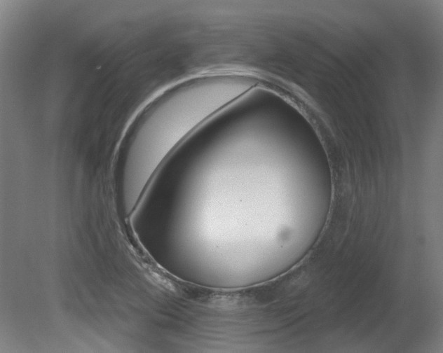 X0000081321364200701111017