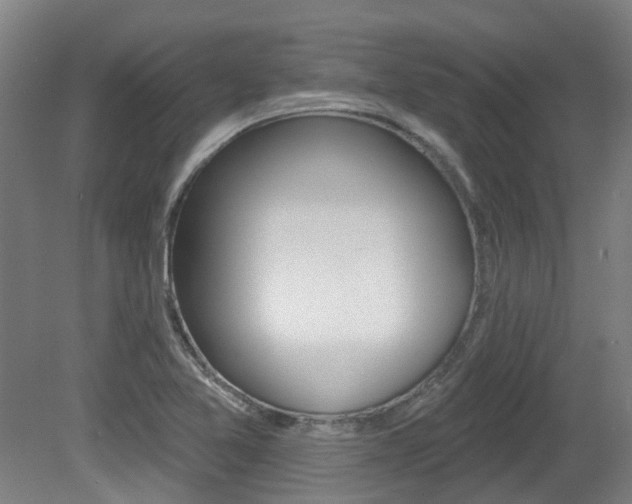 X0000081321365200701111017