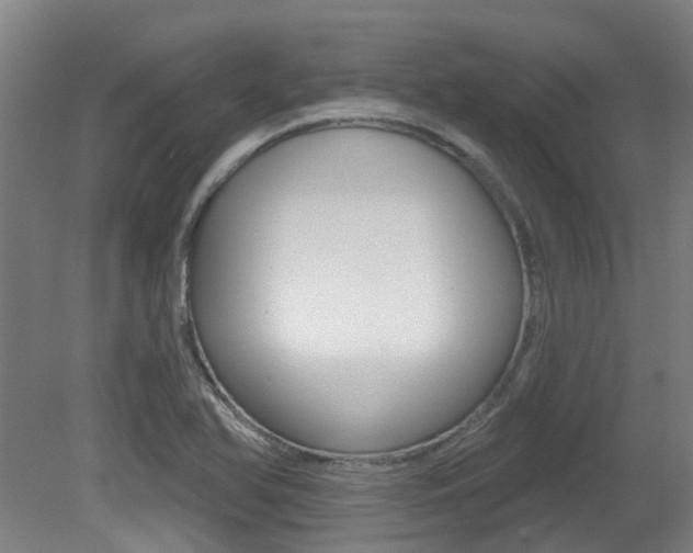 X0000081321366200701111017