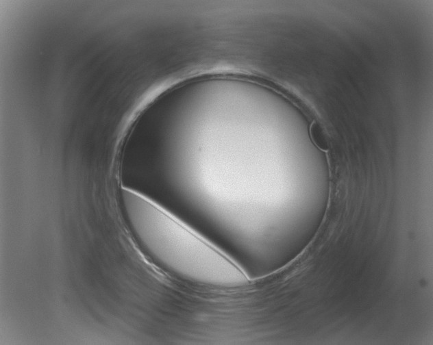 X0000081321367200701111017