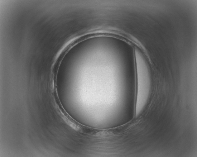 X0000081321368200701111017