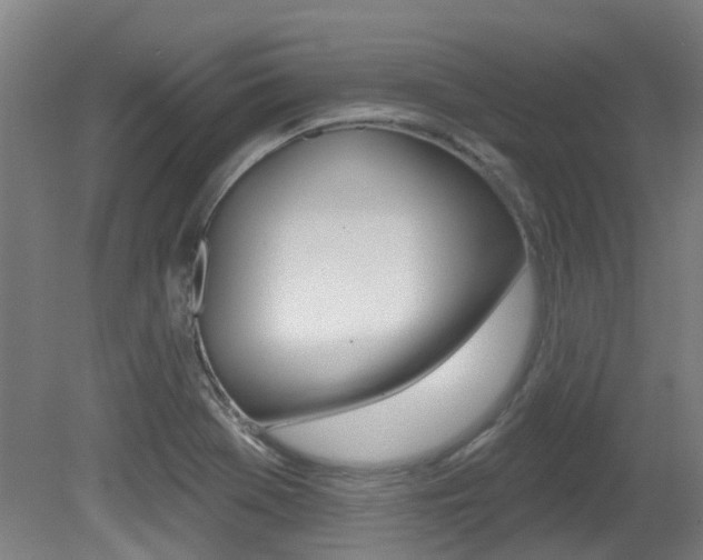 X0000081321369200701111017