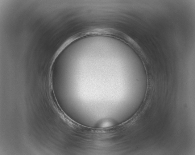 X0000081321370200701111017
