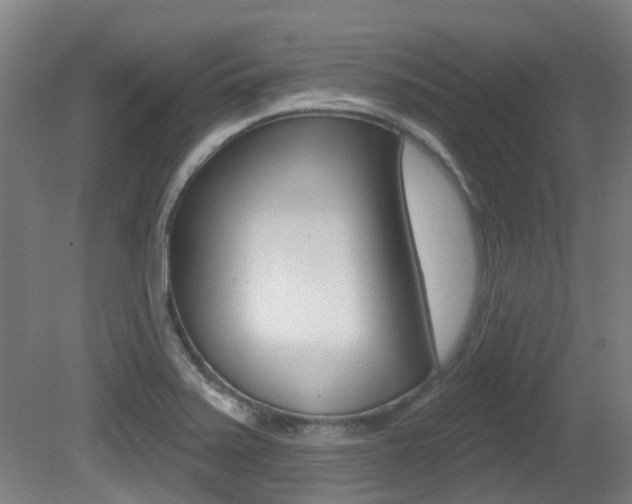 X0000081321371200701111017