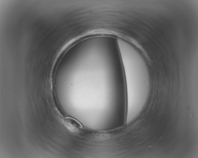 X0000081321372200701111017