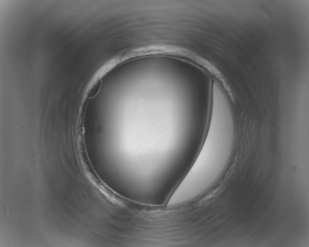 X0000081321373200701111017