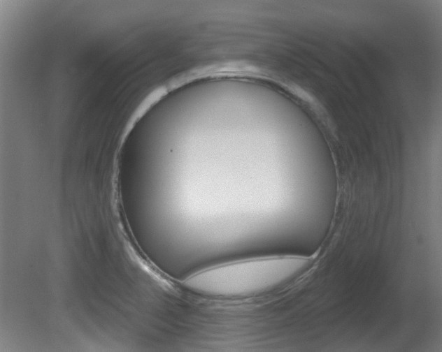 X0000081321374200701111017
