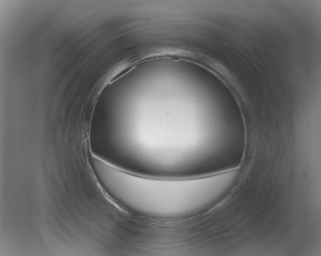 X0000081321377200701111017