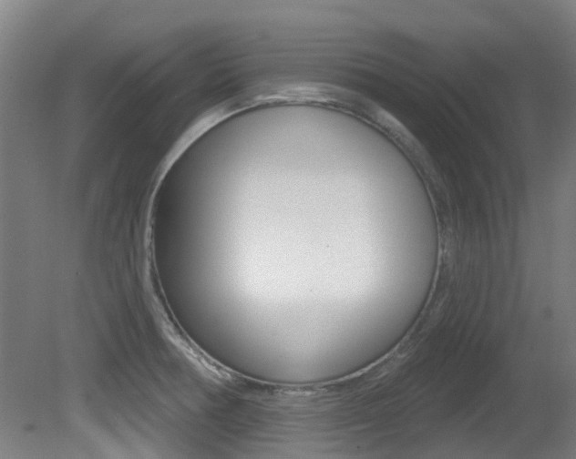 X0000081321378200701111017