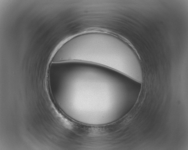 X0000081321379200701111017