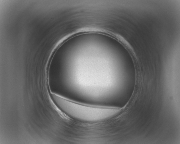 X0000081321380200701111017