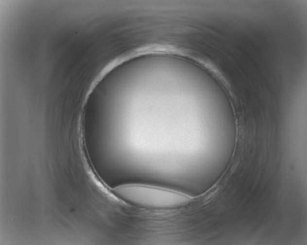 X0000081321382200701111017