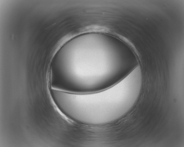 X0000081321383200701111017