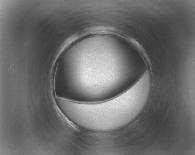 X0000081321384200701111017