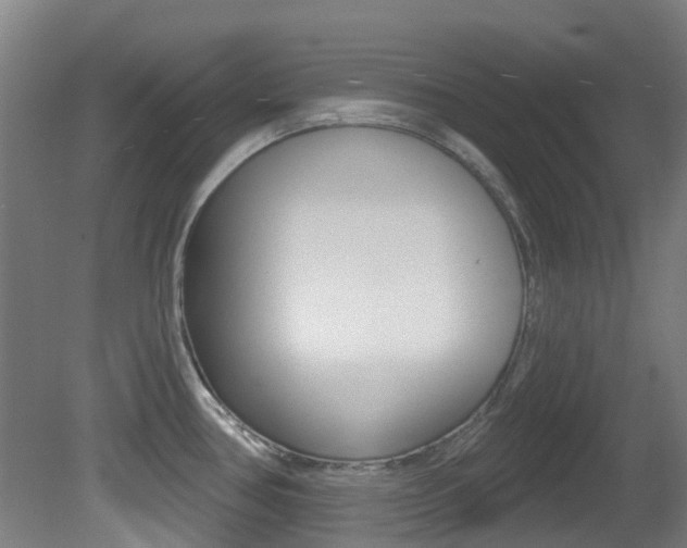 X0000081321386200701111017