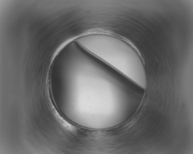 X0000081321387200701111017