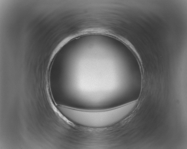 X0000081321389200701111017
