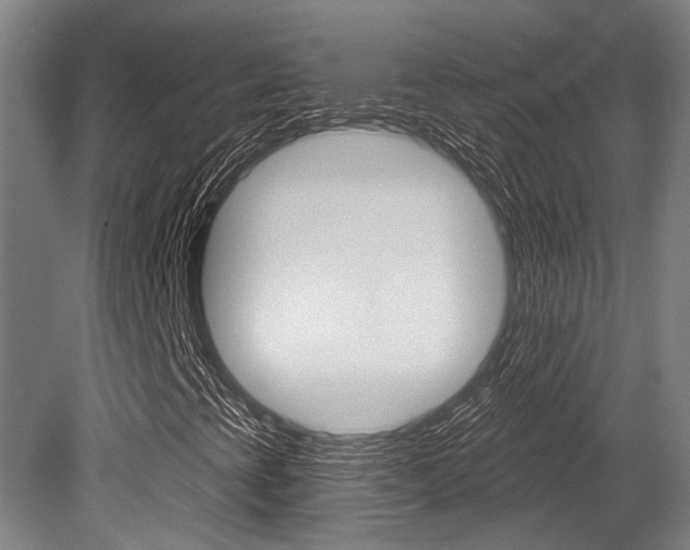 X0000081321393200701111016