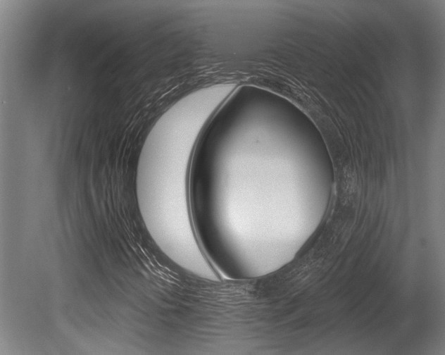 X0000081321394200701111016