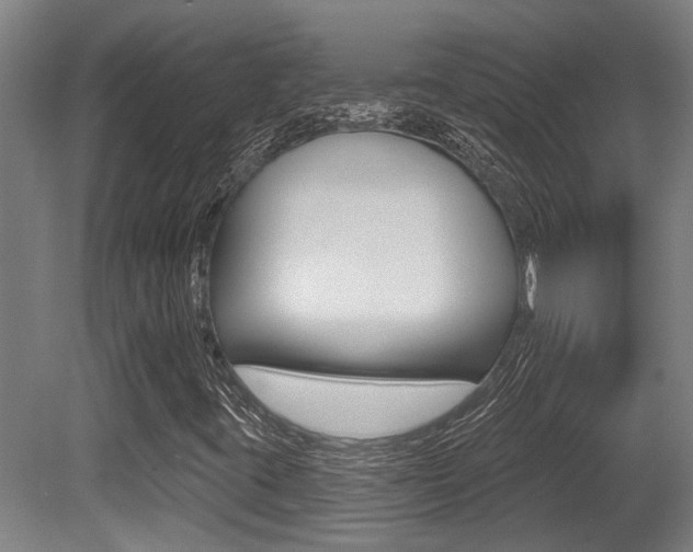 X0000081321395200701111016