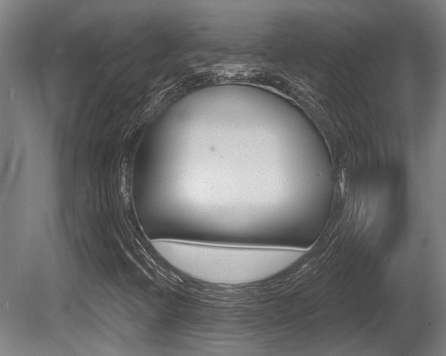 X0000081321396200701111016
