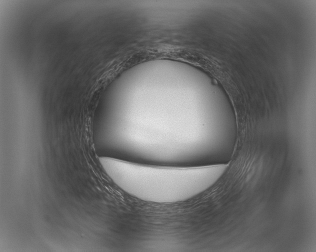 X0000081321397200701111016