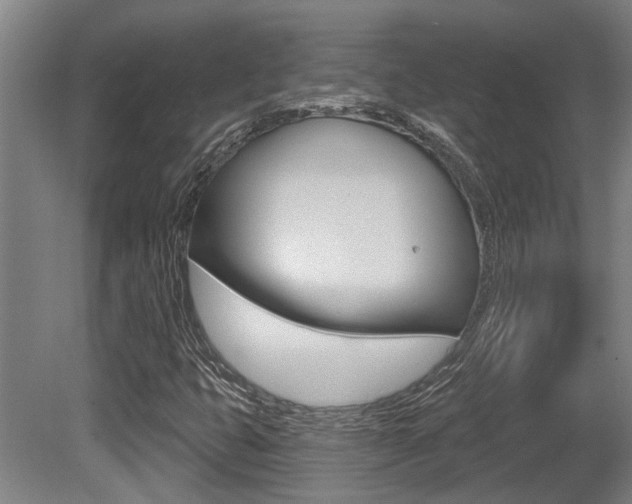 X0000081321399200701111016