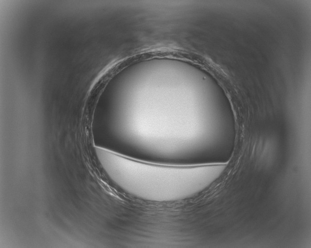 X0000081321400200701111016