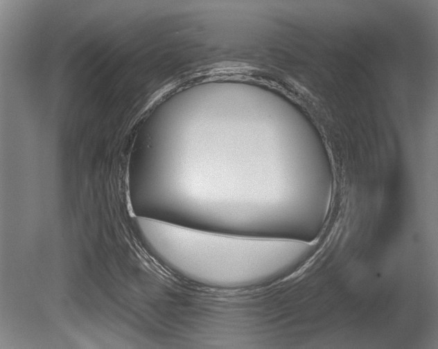 X0000081321401200701111016
