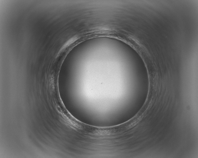 X0000081321402200701111016