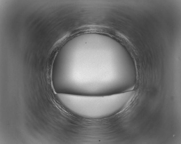 X0000081321403200701111016