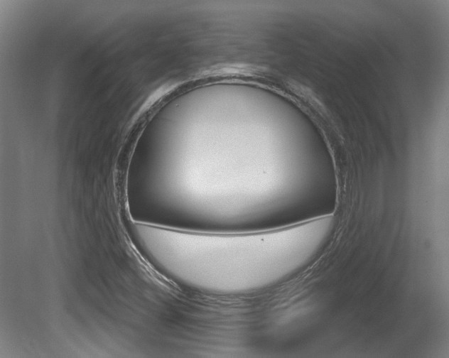 X0000081321404200701111016
