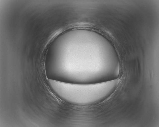 X0000081321405200701111016