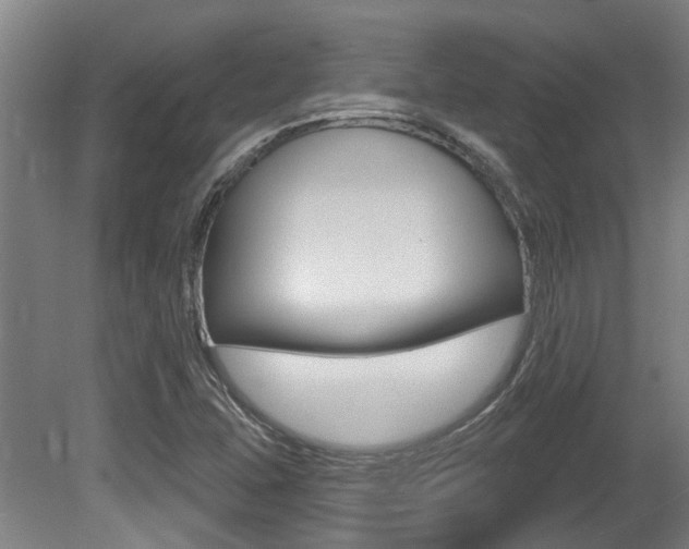 X0000081321407200701111016