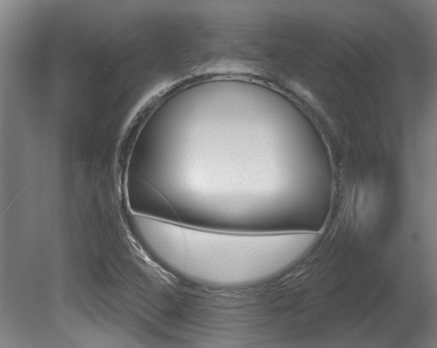 X0000081321408200701111016