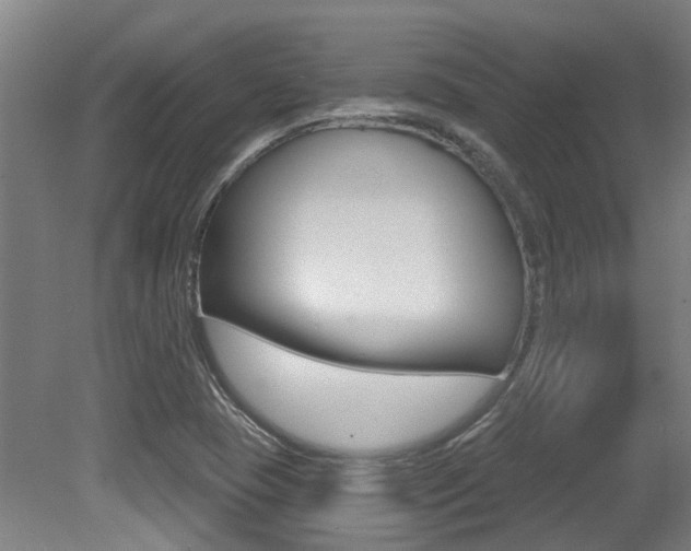 X0000081321409200701111016
