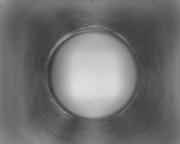 X0000081321410200701111016