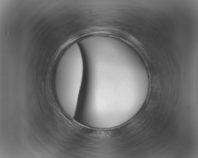 X0000081321411200701111016