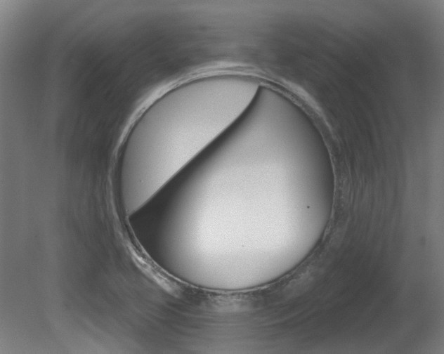 X0000081321413200701111016
