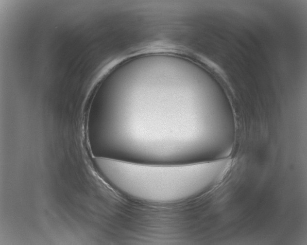 X0000081321415200701111016