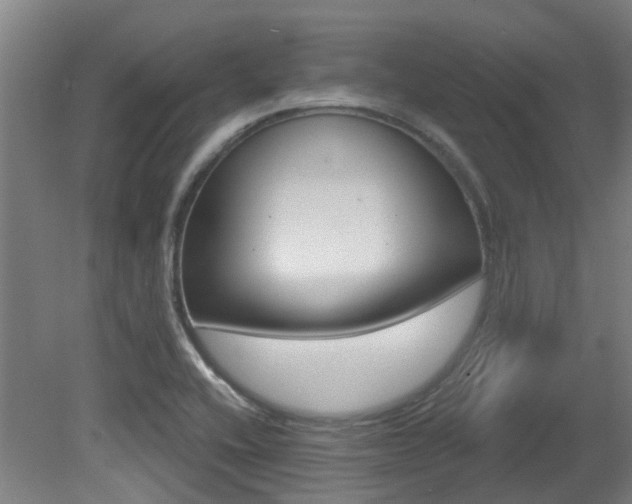 X0000081321416200701111016