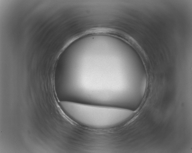 X0000081321417200701111016