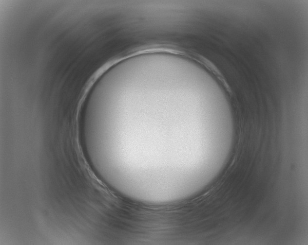 X0000081321419200701111017