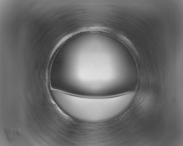 X0000081321420200701111017