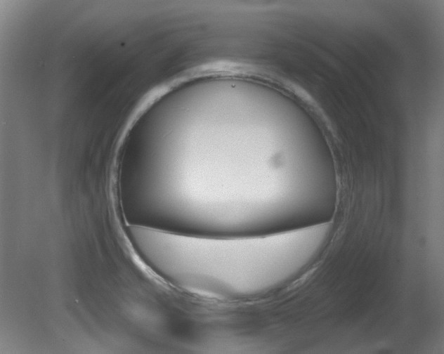 X0000081321421200701111017